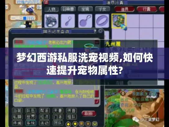 梦幻西游私服洗宠视频,如何快速提升宠物属性?