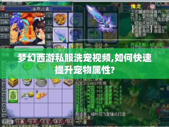梦幻西游私服洗宠视频,如何快速提升宠物属性?