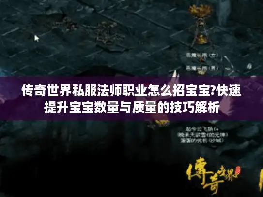 传奇世界私服法师职业怎么招宝宝?快速提升宝宝数量与质量的技巧解析 传奇世界私服法师职业怎么招宝宝?快速提升宝宝数量与质量的技巧解析
