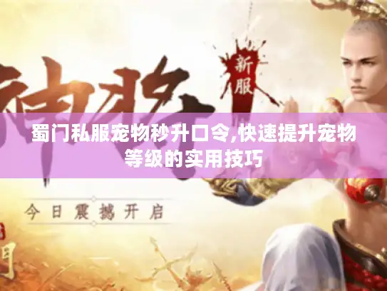 蜀门私服宠物秒升口令,快速提升宠物等级的实用技巧