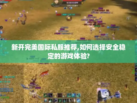 新开完美国际私服推荐,如何选择安全稳定的游戏体验? 新开完美国际私服推荐,如何选择安全稳定的游戏体验?