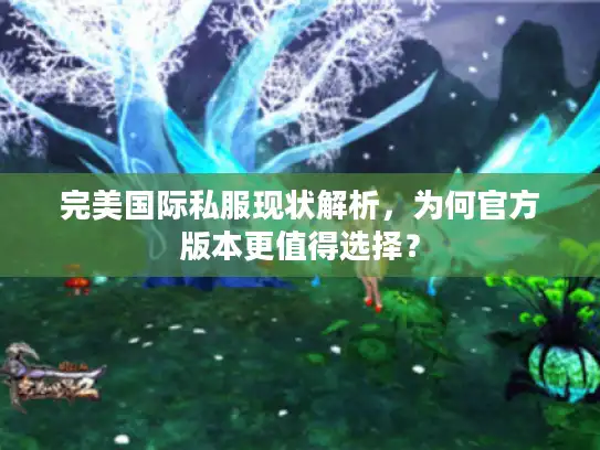 完美国际私服现状解析，为何官方版本更值得选择？