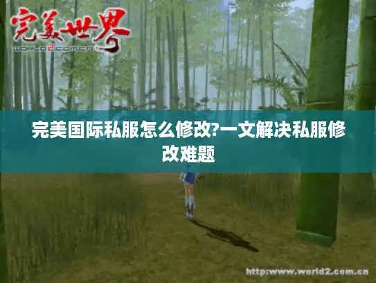 完美国际私服怎么修改?一文解决私服修改难题