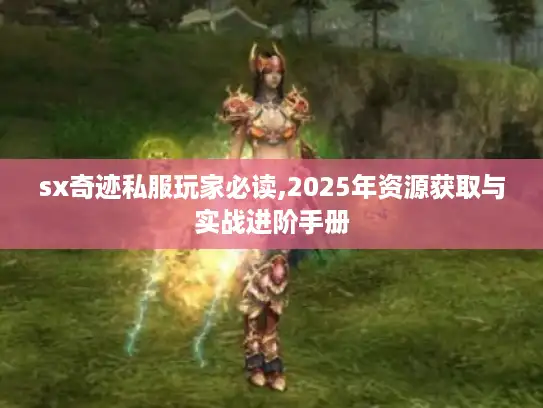 sx奇迹私服玩家必读,2025年资源获取与实战进阶手册