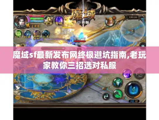 魔域sf最新发布网终极避坑指南,老玩家教你三招选对私服