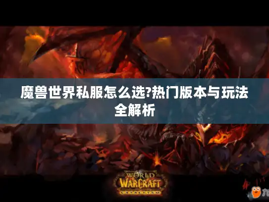 魔兽世界私服怎么选?热门版本与玩法全解析 魔兽世界私服怎么选?热门版本与玩法全解析