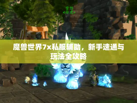 魔兽世界7x私服辅助，新手速通与玩法全攻略