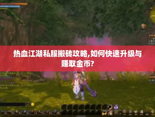 热血江湖私服搬砖攻略,如何快速升级与赚取金币?