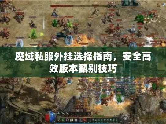 魔域私服外挂选择指南，安全高效版本甄别技巧