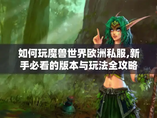 如何玩魔兽世界欧洲私服,新手必看的版本与玩法全攻略