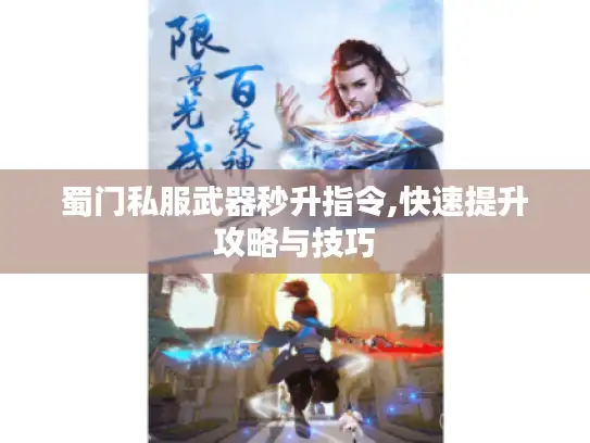 蜀门私服武器秒升指令,快速提升攻略与技巧