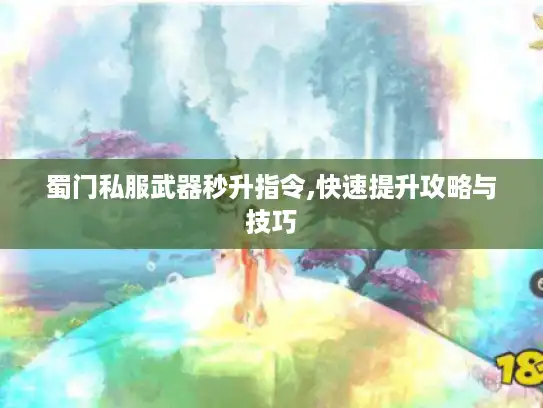 蜀门私服武器秒升指令,快速提升攻略与技巧