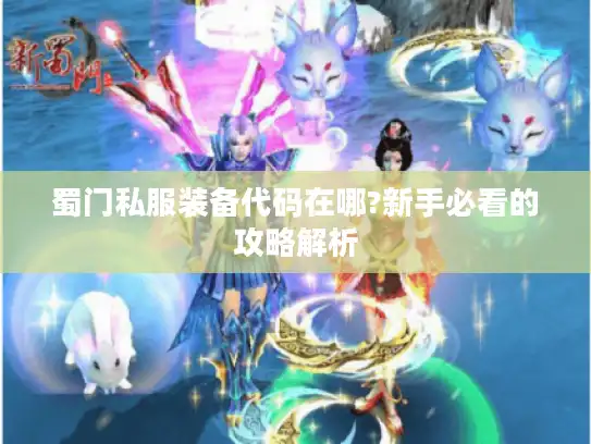 蜀门私服装备代码在哪?新手必看的攻略解析
