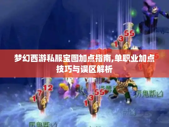 梦幻西游私服宝图加点指南,单职业加点技巧与误区解析
