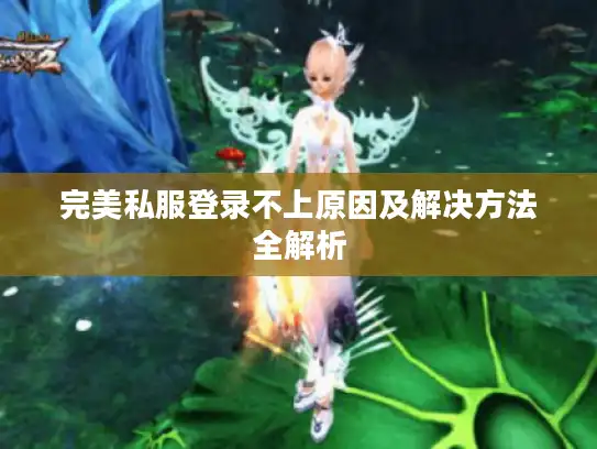 完美私服登录不上原因及解决方法全解析