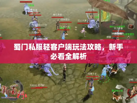 蜀门私服轻客户端玩法攻略，新手必看全解析