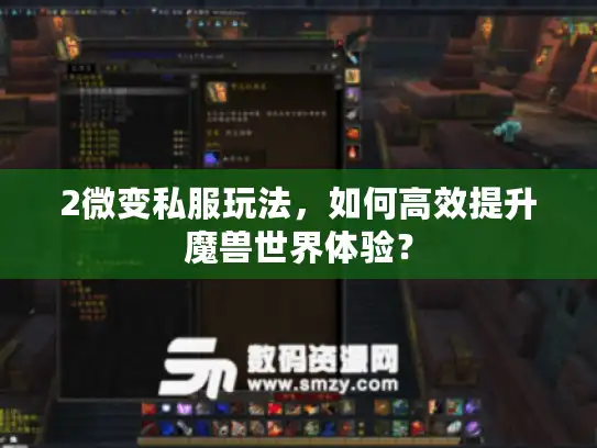 2微变私服玩法，如何高效提升魔兽世界体验？