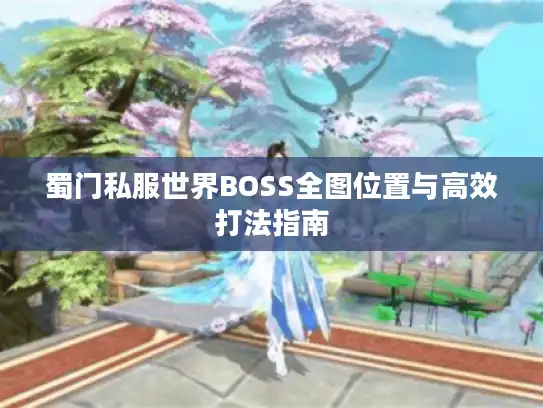 蜀门私服世界BOSS全图位置与高效打法指南
