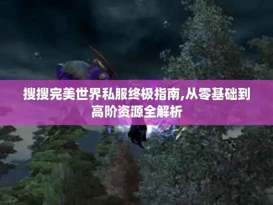 搜搜完美世界私服终极指南,从零基础到高阶资源全解析