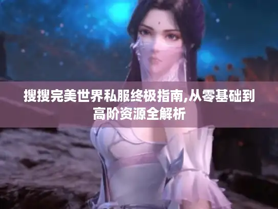 搜搜完美世界私服终极指南,从零基础到高阶资源全解析