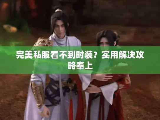完美私服看不到时装？实用解决攻略奉上