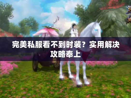 完美私服看不到时装？实用解决攻略奉上