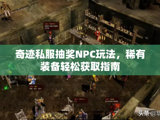 奇迹私服抽奖NPC玩法，稀有装备轻松获取指南