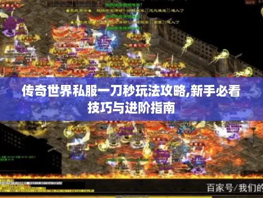 传奇世界私服一刀秒玩法攻略,新手必看技巧与进阶指南 传奇世界私服一刀秒玩法攻略,新手必看技巧与进阶指南