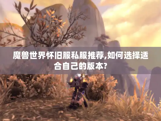 魔兽世界怀旧服私服推荐,如何选择适合自己的版本?