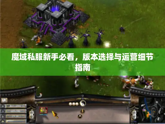魔域私服新手必看,版本选择与运营细节指南 魔域私服新手必看,版本选择与运营细节指南