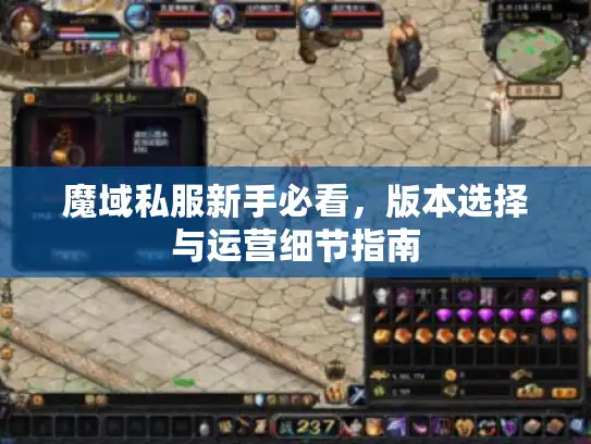 魔域私服新手必看,版本选择与运营细节指南 魔域私服新手必看,版本选择与运营细节指南