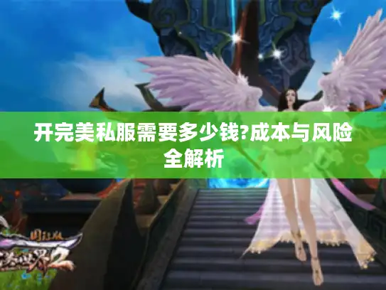 开完美私服需要多少钱?成本与风险全解析