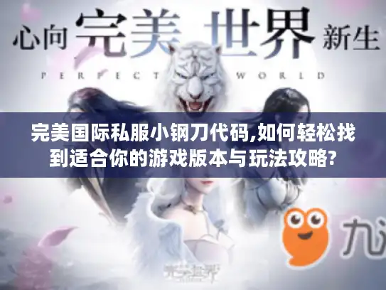 完美国际私服小钢刀代码,如何轻松找到适合你的游戏版本与玩法攻略?