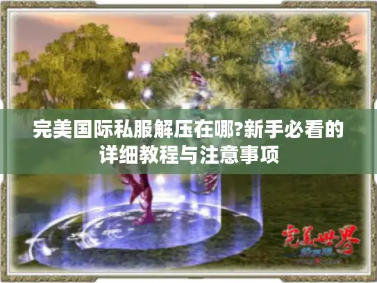 完美国际私服解压在哪?新手必看的详细教程与注意事项