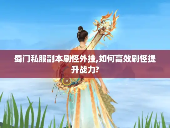 蜀门私服副本刷怪外挂,如何高效刷怪提升战力?