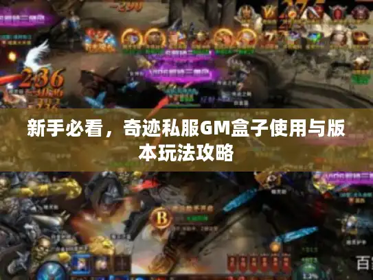 新手必看，奇迹私服GM盒子使用与版本玩法攻略