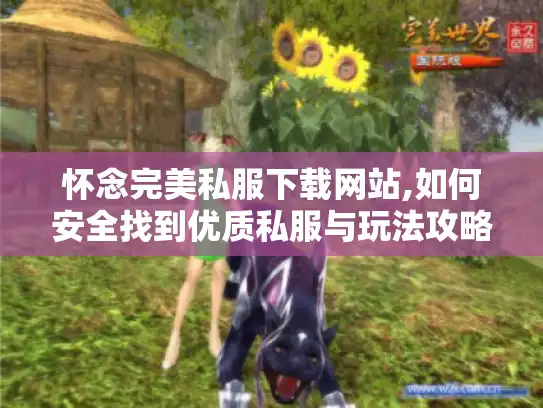 怀念完美私服下载网站,如何安全找到优质私服与玩法攻略