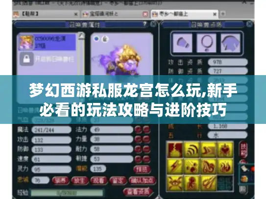 梦幻西游私服龙宫怎么玩,新手必看的玩法攻略与进阶技巧
