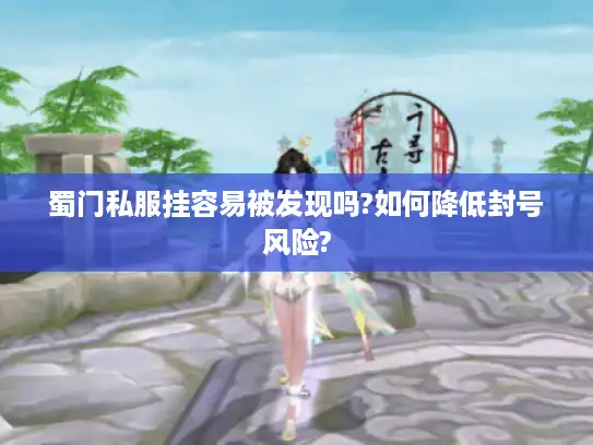 蜀门私服挂容易被发现吗?如何降低封号风险?