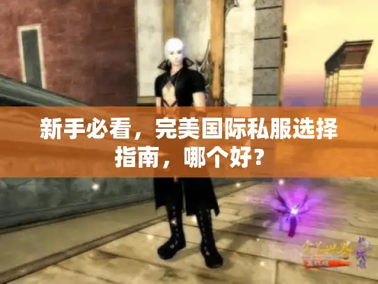 新手必看，完美国际私服选择指南，哪个好？