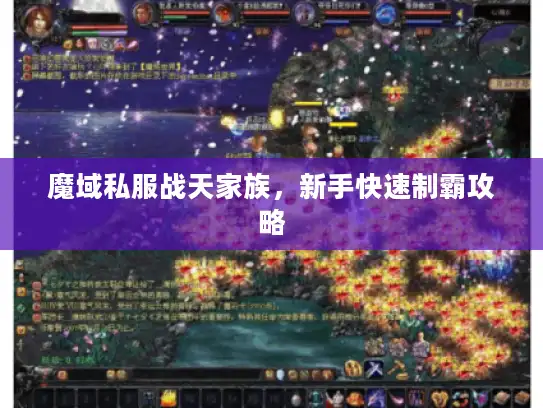 魔域私服战天家族，新手快速制霸攻略