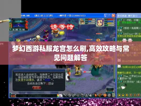 梦幻西游私服龙宫怎么刷,高效攻略与常见问题解答 梦幻西游私服龙宫怎么刷,高效攻略与常见问题解答