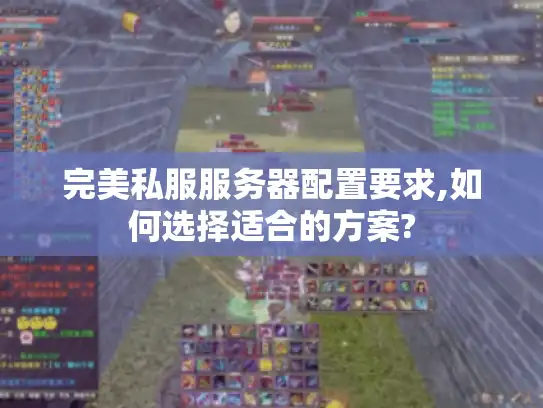 完美私服服务器配置要求,如何选择适合的方案?
