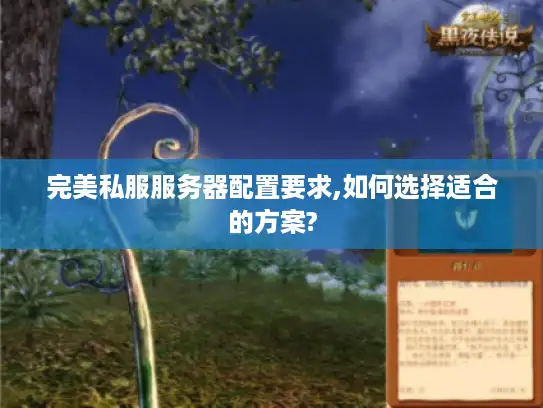 完美私服服务器配置要求,如何选择适合的方案?
