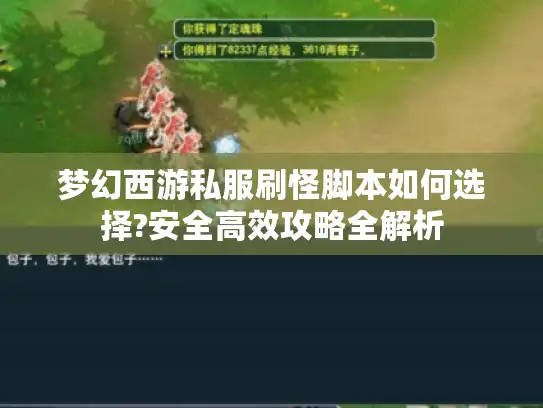 梦幻西游私服刷怪脚本如何选择?安全高效攻略全解析 梦幻西游私服刷怪脚本如何选择?安全高效攻略全解析