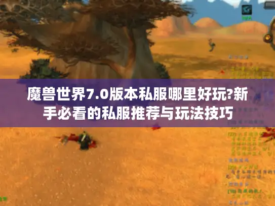 魔兽世界7.0版本私服哪里好玩?新手必看的私服推荐与玩法技巧