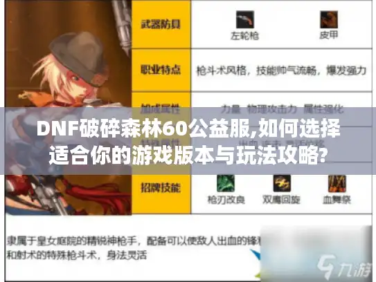 DNF破碎森林60公益服,如何选择适合你的游戏版本与玩法攻略?
