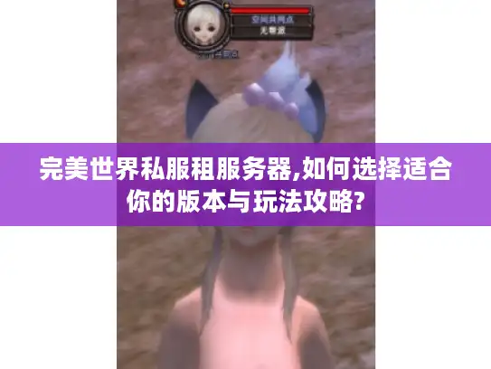 完美世界私服租服务器,如何选择适合你的版本与玩法攻略?