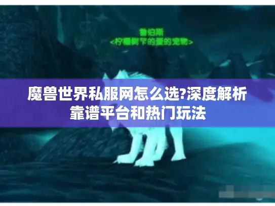 魔兽世界私服网怎么选?深度解析靠谱平台和热门玩法