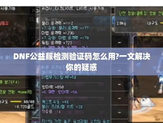 DNF公益服检测验证码怎么用?一文解决你的疑惑